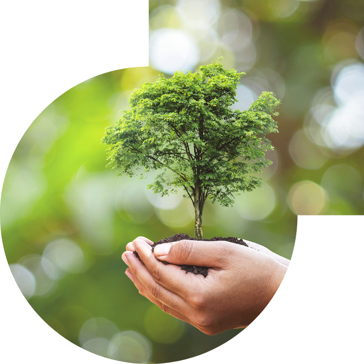 关怀人类、文化、环境与社会